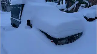 Нас остаточно засипало снігом 🥶
