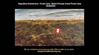 🌿🌊SARGASSUM ARRIVAL ALERT 2025 - 👉Republica Dominicana - Punta Cana - Bahia Principe Grand