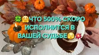 ☘️😊 ЧТО 500% СКОРО ИСПОЛНИТСЯ В ВАШЕЙ СУДЬБЕ ✨🤩