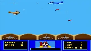 Copysoft - Skunny's Desert Raid - 1993