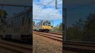 Sydney Trains K silver set on T4 Illawarra line - Unusual Sight run no.950 #transportnsw