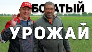 ЭФФЕКТИВНАЯ БОРЬБА С СОРНЯКАМИ БЕЗ ХИМИИ