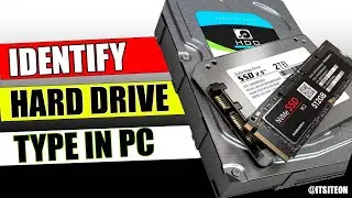 SSD vs. HDD: How to Identify Your Hard Drive in Windows 10