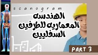 الهندسه المعماريه للطرفين السفليين ...scanogram  part 5 .!!!!!!!!!!!!!!؟؟؟