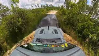 J.W. Corbett WMA during South Florida's rainy season.