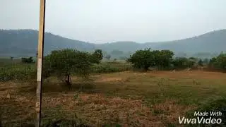 మణుగూరు అడవి అందాలు/  BEAUTY OF MANUGURU FOREST