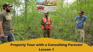 Property Tour with a Consulting Forester Lesson 1