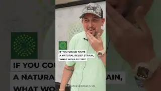 Trulieve Patient Review Interview: Best Flower In Town