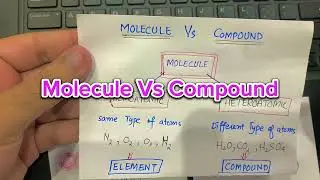 Molecule Vs Compound | visual illustration | element | compound