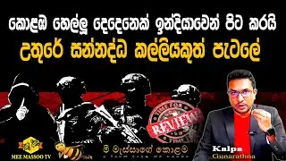 🟡‍කොළඹ හෙල්ලූ දෙදෙනෙක් ඉන්දියාවෙන් පිට කරලා | උතුරේ සන්නද්ධ කල්ලියකුත් පැටලේ |  @MeeMassooTV ​