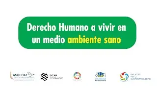 Derecho Humano a vivir en un Ambiente Sano