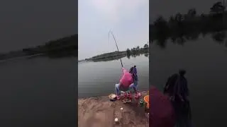 Fishing Cute Girl - How To Fishing - Fishing Vlog - Primitive Fishing Video - 钓鱼 #145