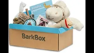 Unboxing of Barkbox (June 2017)