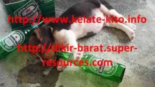 dikir - lapar mara