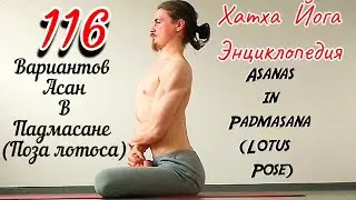 116 Вариантов Позы Лотоса (Падмасана) - 116 Variation Of Lotus Pose (Padmasana)