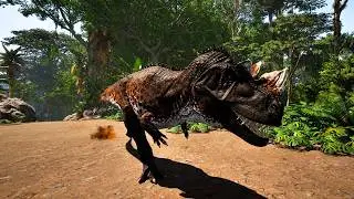 Surviving as a Prime elder Cerato | The isle Evrima