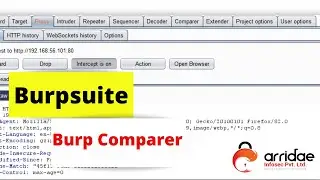 BURPSUITE(11) - Burp Comparer
