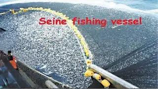 Inside a Seine Fishing Vessel: Modern Fishing Explained