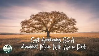 The Oasis Channel | Soft Awakening SPA Aambient Music With Warm Pads