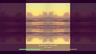 Synced Horizon Echoes #931 Music by NIMAX