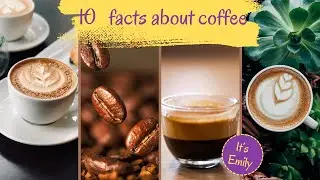 10 Surprising Facts  about coffee You Need to Know!
