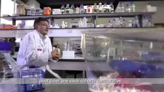 Inflamex : Institut des maladies inflammatoires (IMI) - Renato Monteiro