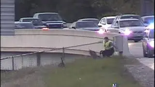 Goose assails deputy