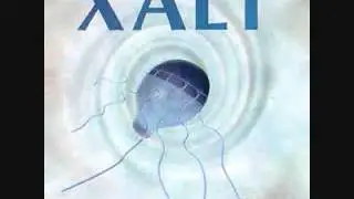 Xalt - Choose