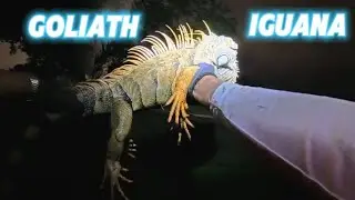 I Caught A Big One