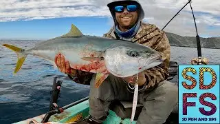 Vertical Jigging For Yellowtail Solo Skiff Fishing Bah&iacute;a Asunci&oacute;n Baja California Sur Mexico SDFS