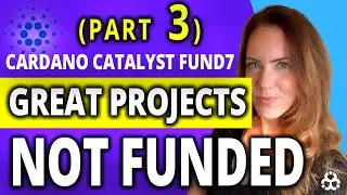 (PART 3 of 3) Cardano Catalyst Fund 7 Great Projects NOT FUNDED: Review and Highlight the Underdogs
