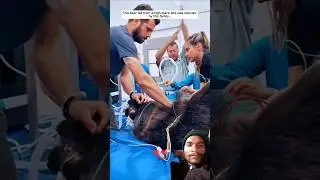 This bear fell from a high place and was rescued by this family... #bear #animals #wildliferescued