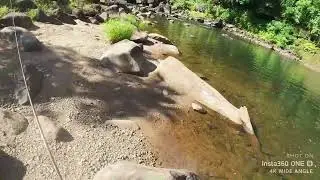 Tully gorge sooties