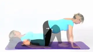 Pregnancy Exercises - One Leg Stretch in Four Point Kneeling
