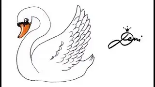 Schwan zeichnen lernen ♥ How to draw a swan ♥ как се рисува лебед ♥ dessiner un cygne cigno cisne 天鹅