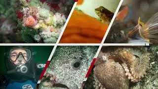 Lightroom Classic CC for the Underwater Photographer - learn Digital Photography