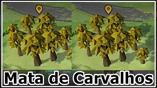 Mata de Carvalho Farm - 2025 - LAST DAY ON EARTH SURVIVAL #4