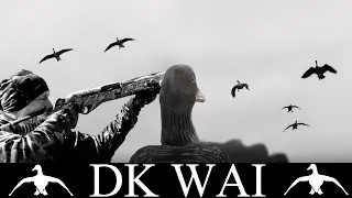 G&aring;sejagt DK WAI - Serious goose hunting