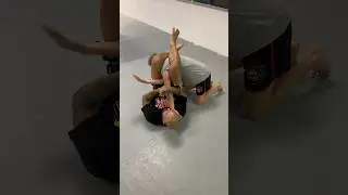 ARMBAR TRANSITIONS #bjj #brazilianjiujitsu #jiujitsu #mma #ufc #armbar #armlock #guard #submission