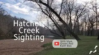 Sighting Report from Hatchett Creek In Coosa County Al