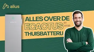 Hoe werkt de WHES thuisbatterij?