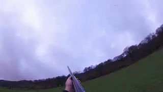 Pheasant shooting Dyfi falls 2021