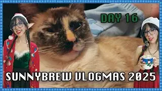 SUNNY FIRMLY GRASPS IT ~ VLOGMAS 2025 DAY 16
