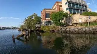 Brisbane River Stand Up Paddle.(5)