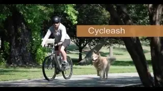 Your Dog Needs This - Bicycle Leash