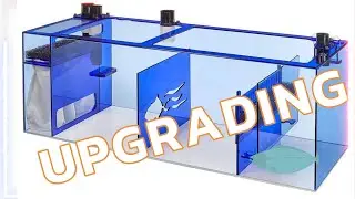 Upgrading Aquarium Sump | Trigger Systems