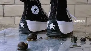 36期 Canvas shoes crushed the apple snail
