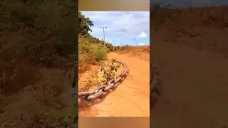 This technique use to cut down forest |  Anchor Chain Land Brushing Technique