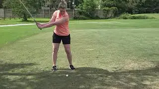 Holly bar/swing (9/25/18)(1)