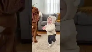 &ldquo;Big dog. Small human. Unexpected confidence.&rdquo;  #funnybaby #baby #funny #cute #pets #youtubeusa